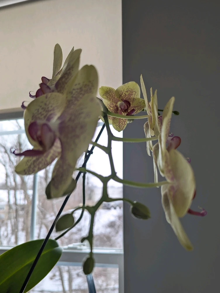 Image uploaded by Lynne