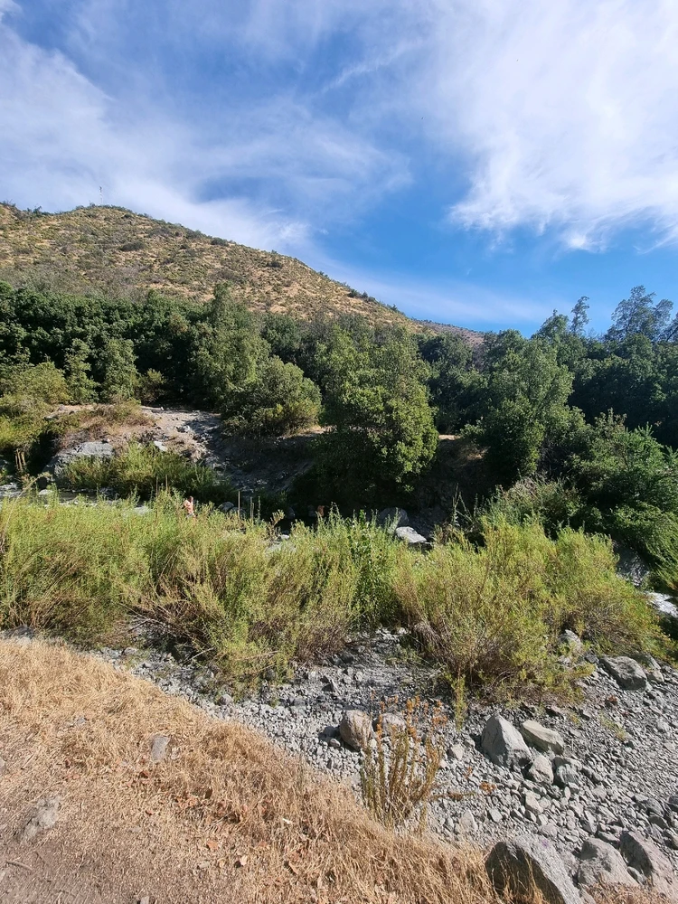 Imagen subida por Israel