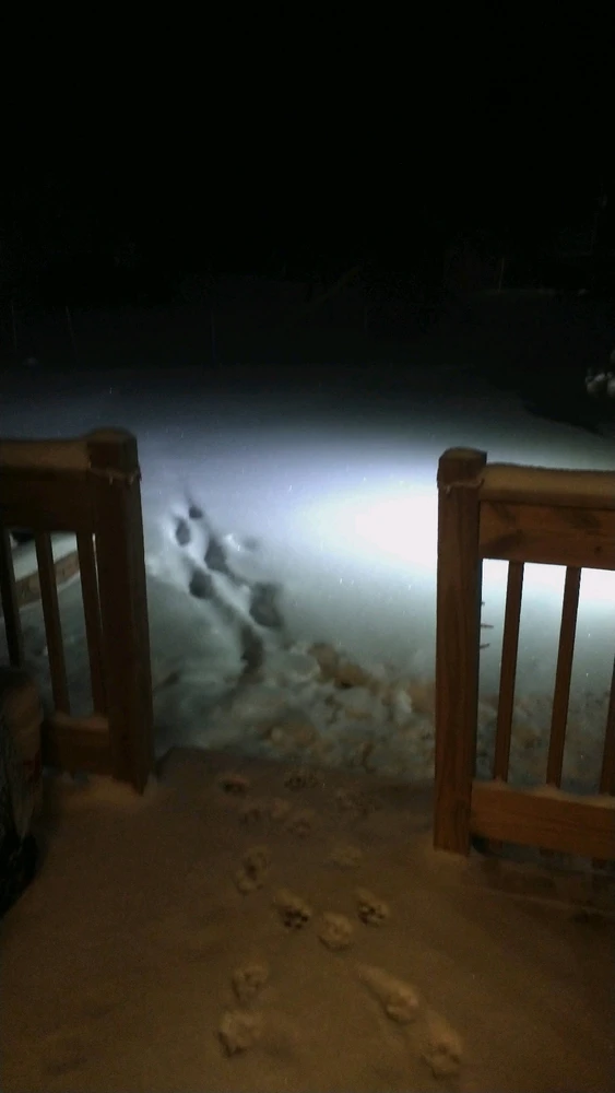 GIF uploaded by Anna Noel