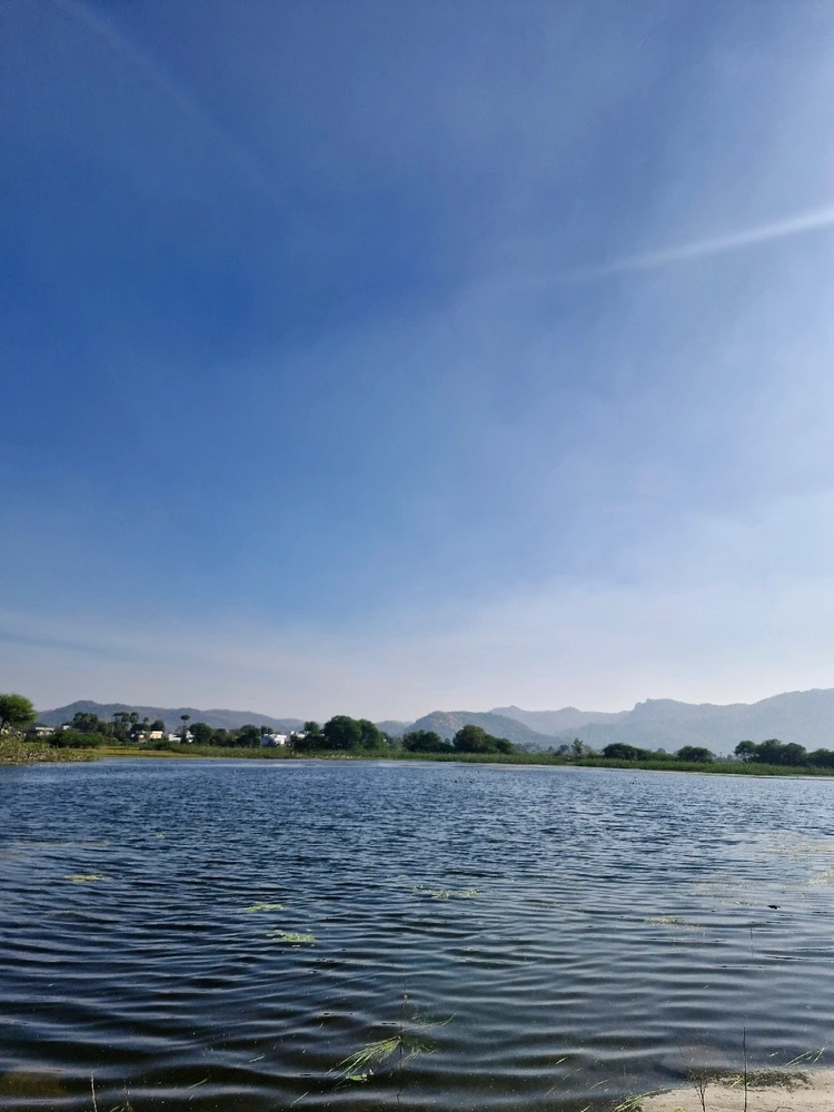 GIF uploaded by Dinnu