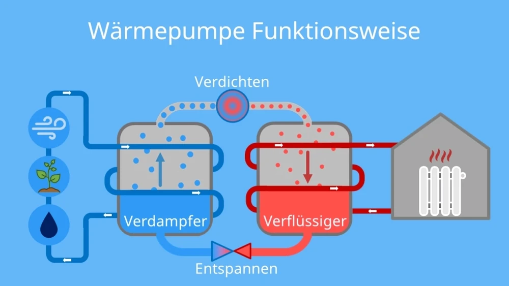Bild hochgeladen von DichterRuffy🇪🇺🇺🇦