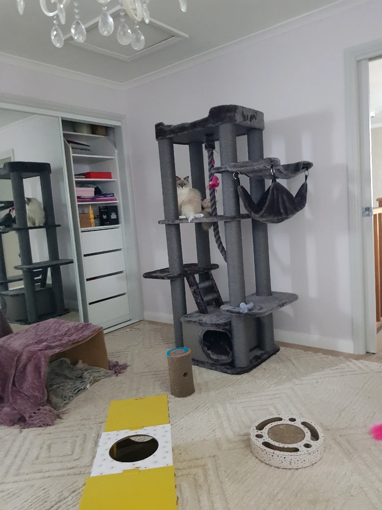 GIF uploaded by Sarah