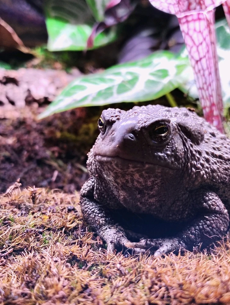 Image uploaded by Rebecca