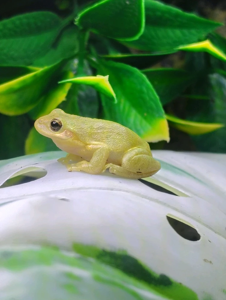 Image uploaded by Rebecca