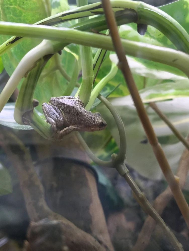 Image uploaded by Rebecca