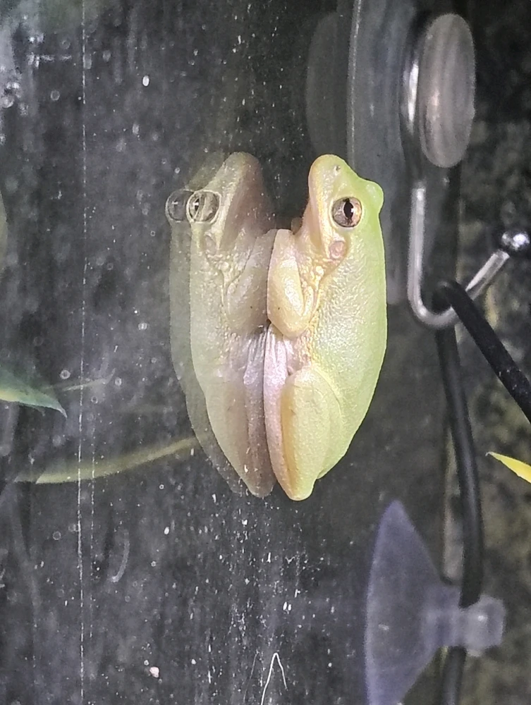 Image uploaded by Rebecca