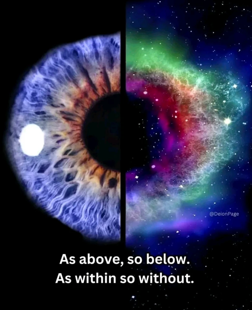 GIF uploaded by Klei🌻⚖️