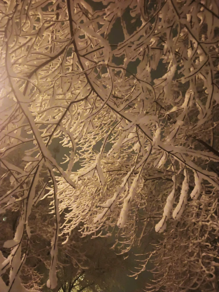 GIF dodany przez Urszula