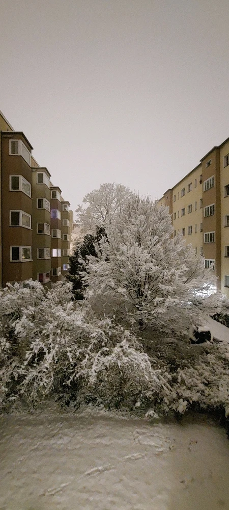 GIF hochgeladen von Kev