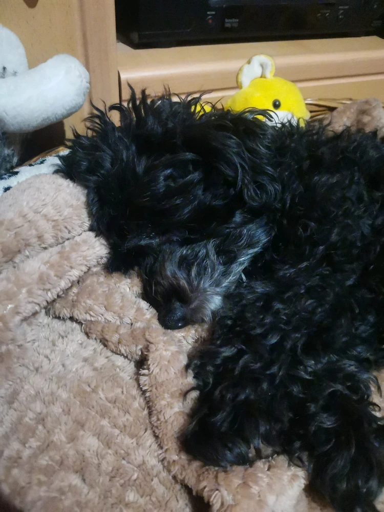 Gabica által feltöltött kép