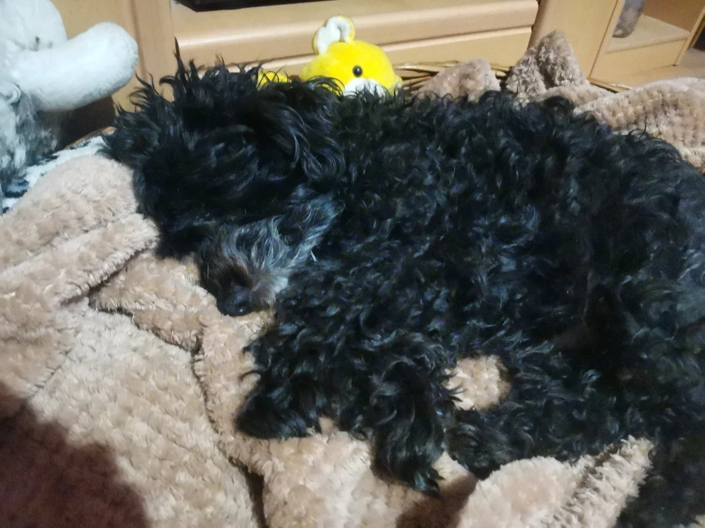 Gabica által feltöltött kép