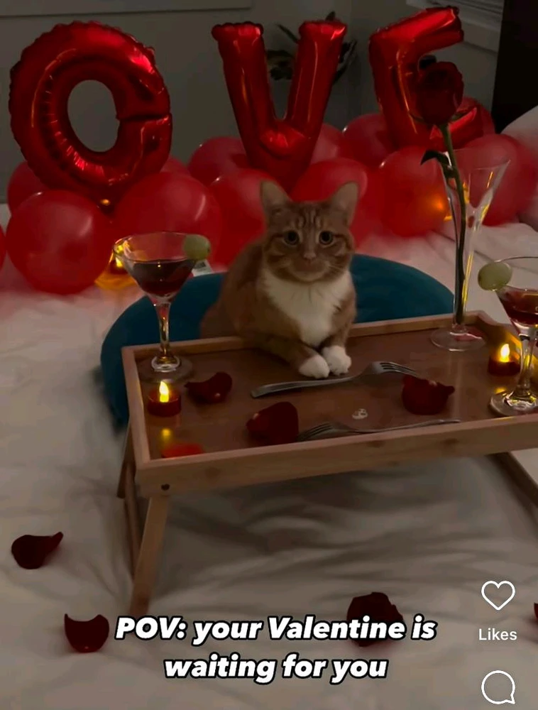 GIF uploaded by Natalie