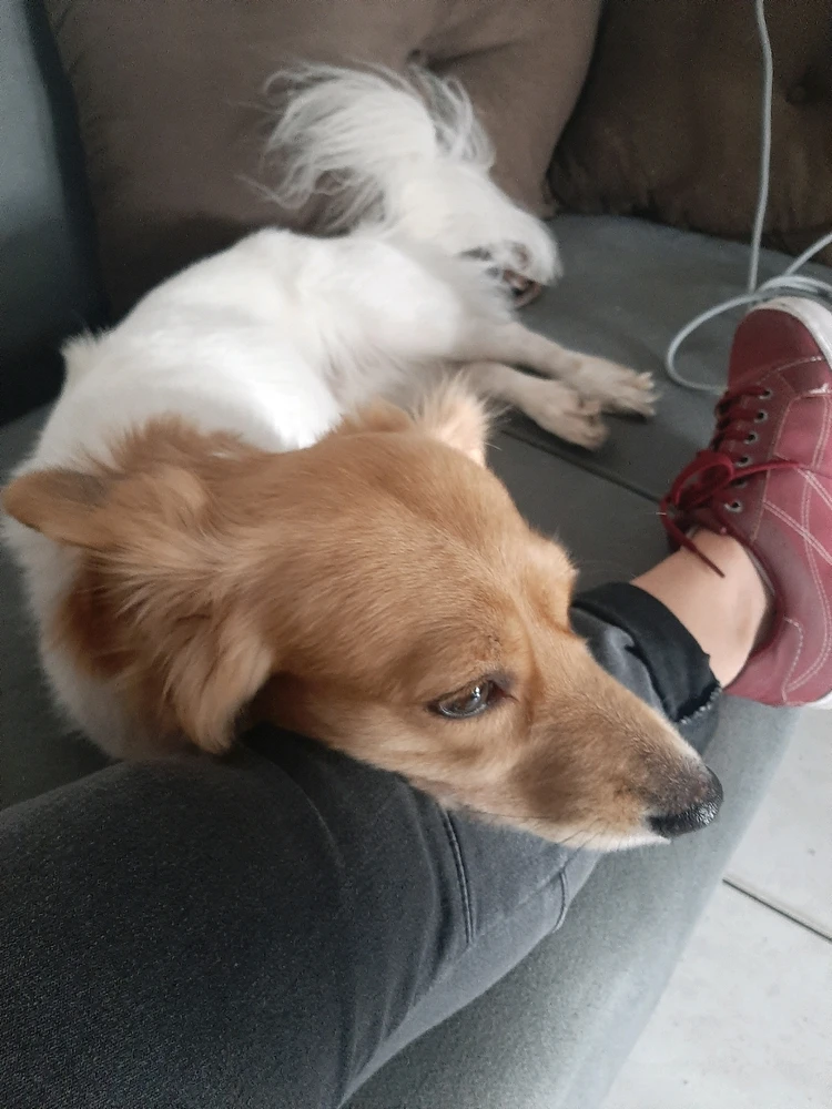 GIF enviado por Miryan