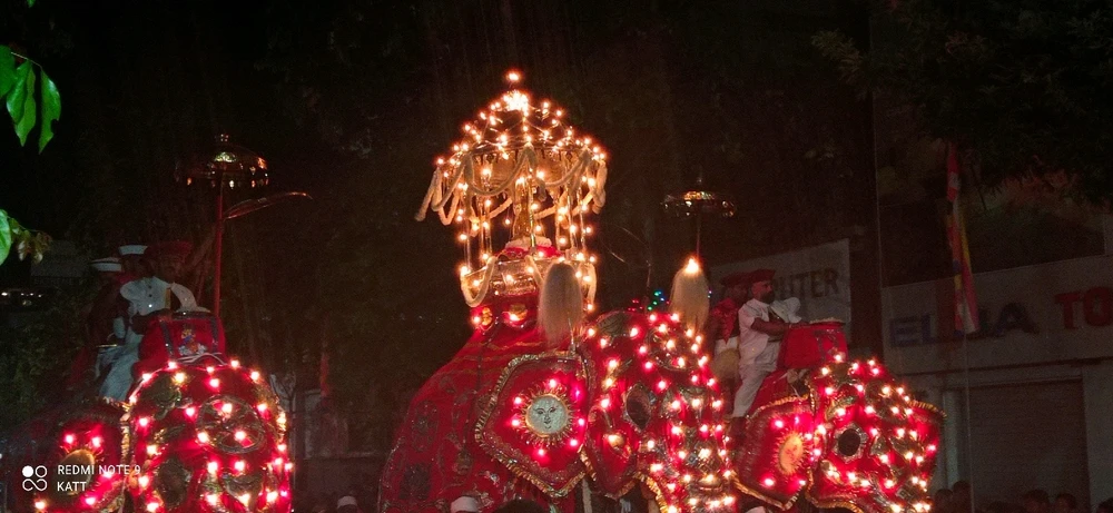 Tharindu Thathsara 上傳的 GIF