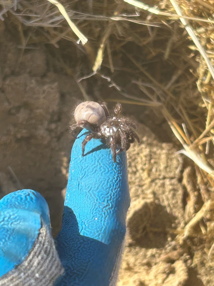 Gambar diunggah dening Eek