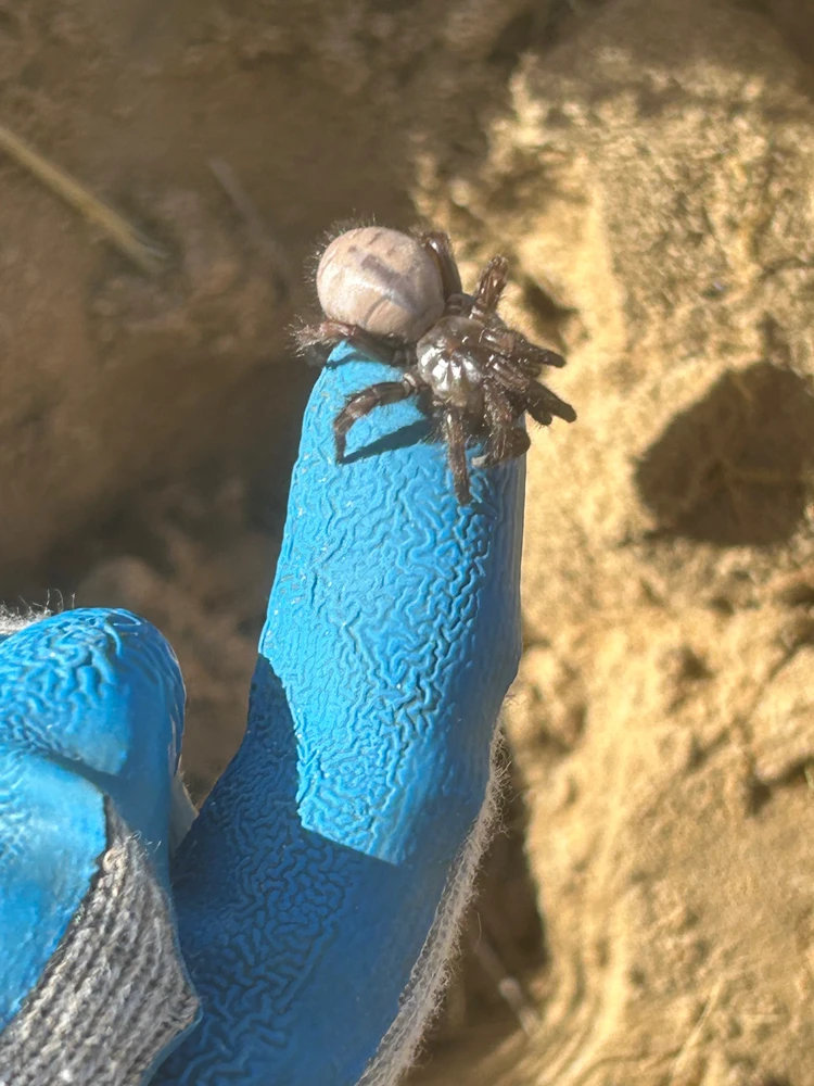 Gambar diunggah dening Eek