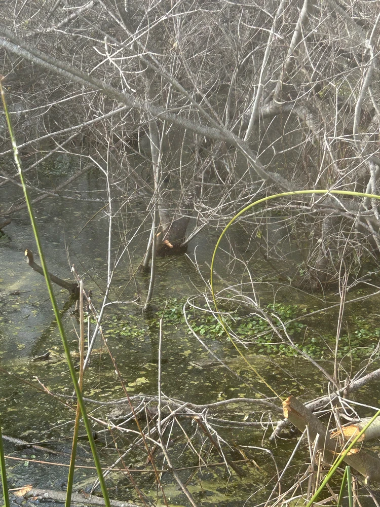 Image uploaded by Eek