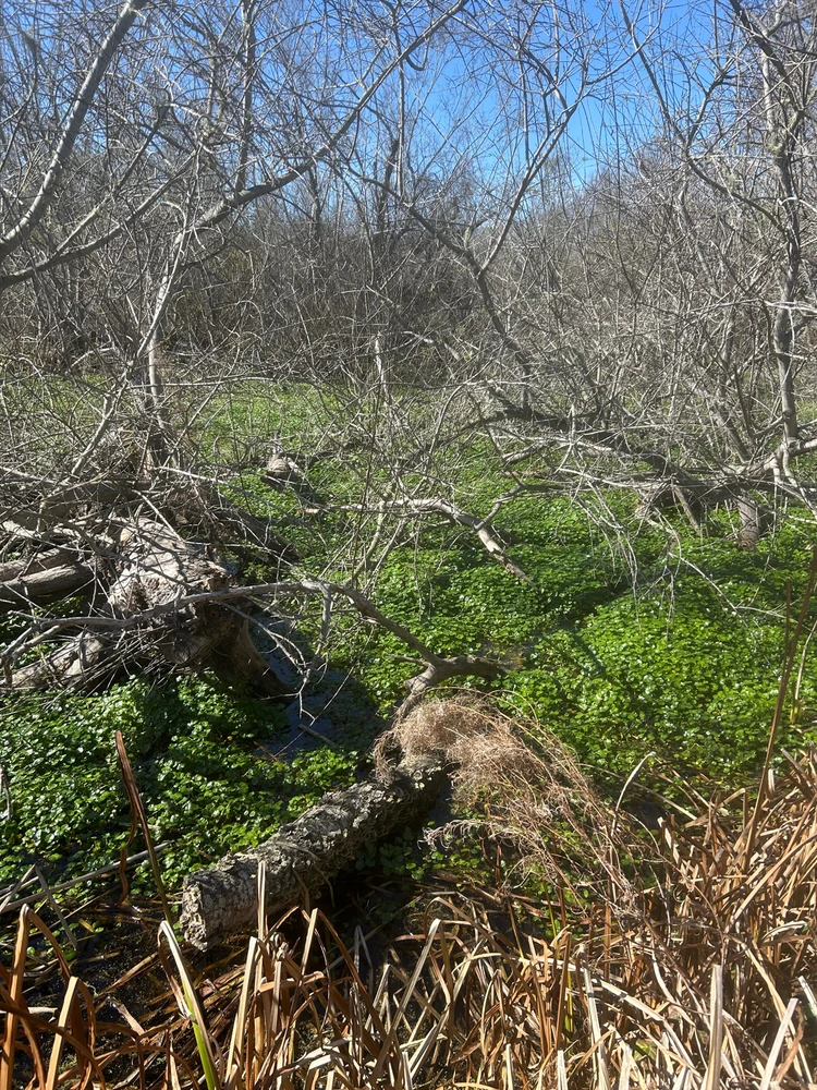 Image uploaded by Eek