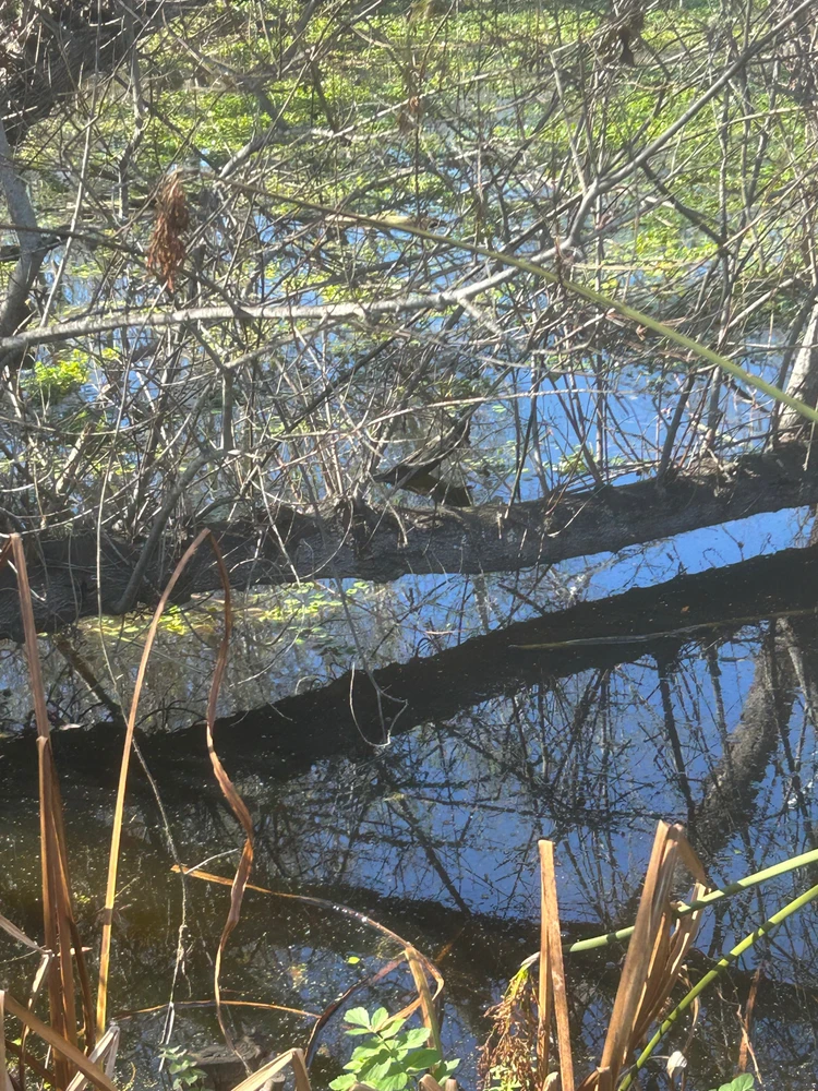 Image uploaded by Eek