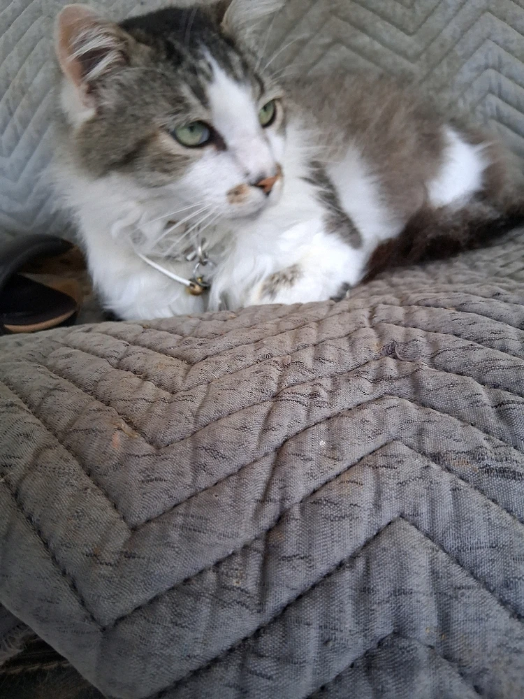 GIF uploaded by Mike