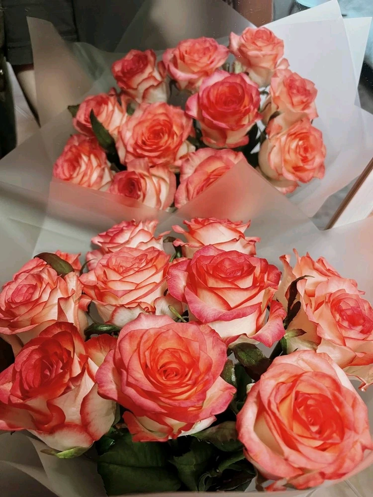 Valentine's day💐
#loveislove