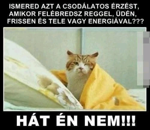 Zsófi által feltöltött GIF