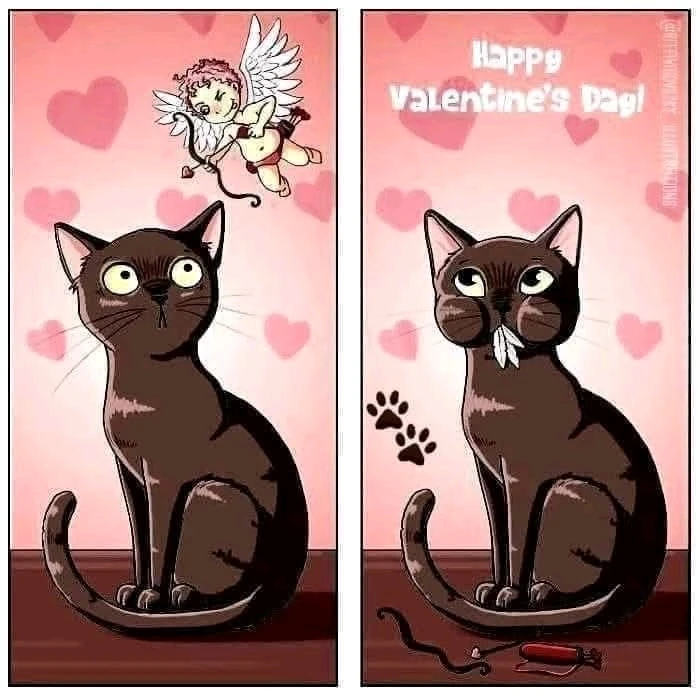 GIF ajouté par Valérie