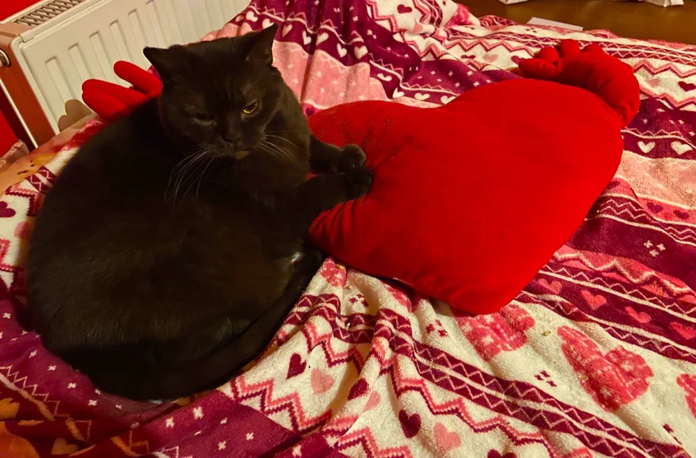 GIF dodany przez Margo