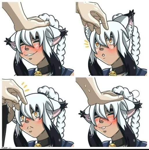 Free Head pats !