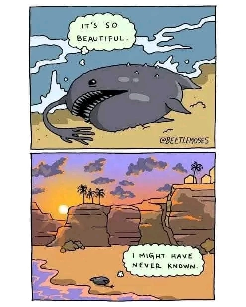 GIF uploaded by Pamela