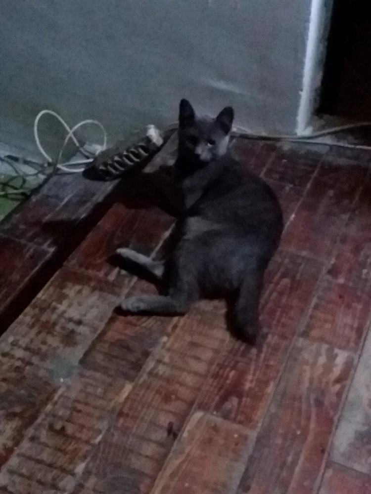 Sliku je postavio/la Marko