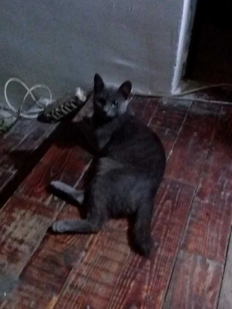 Sliku je postavio/la Marko