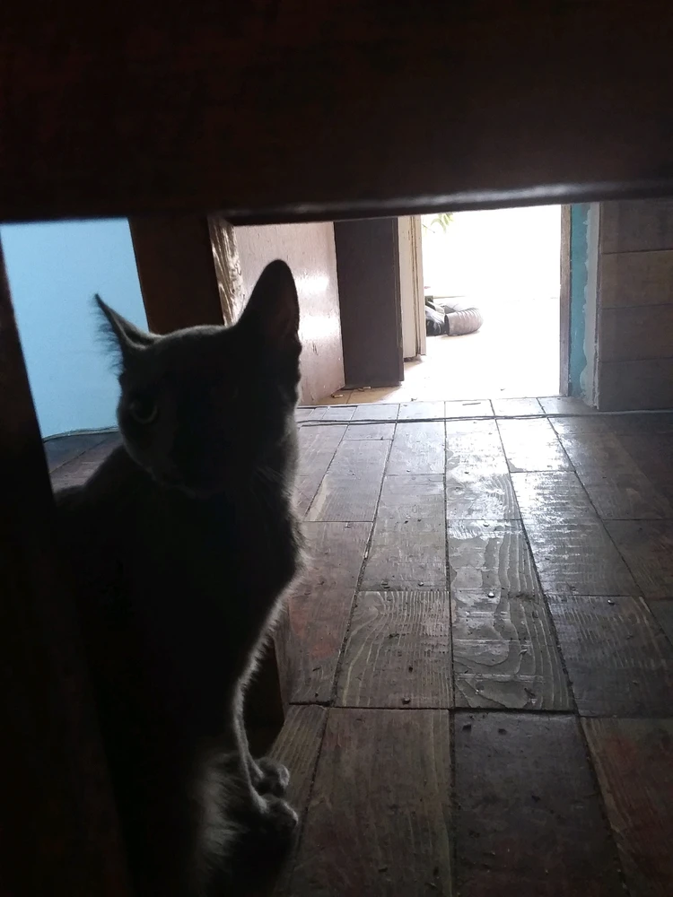 Sliku je postavio/la Marko