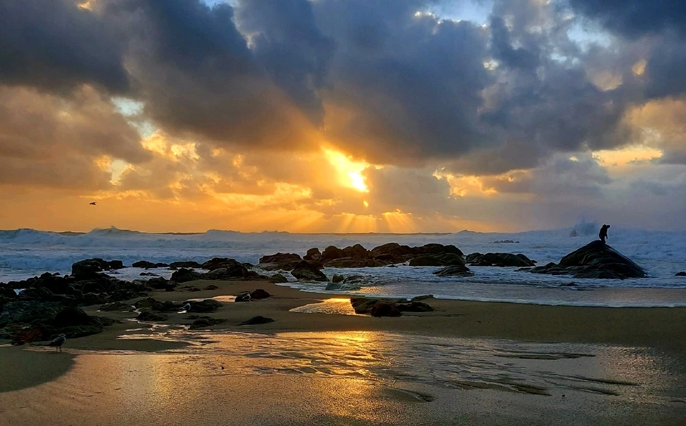 GIF enviado por Bethania