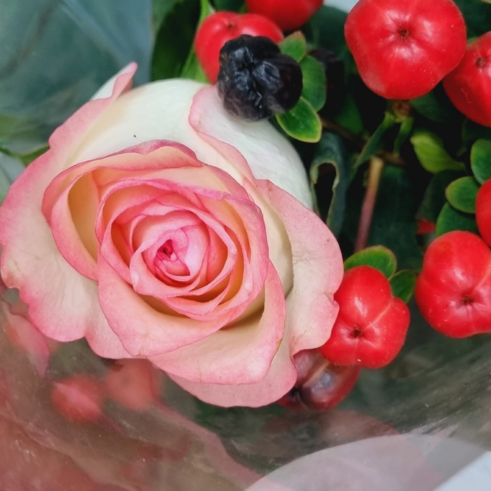 Gambar diunggah dening Chelsy