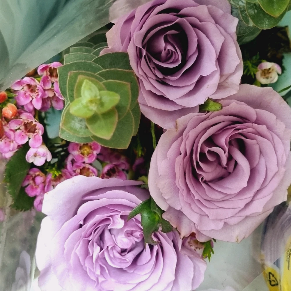 Gambar diunggah dening Chelsy