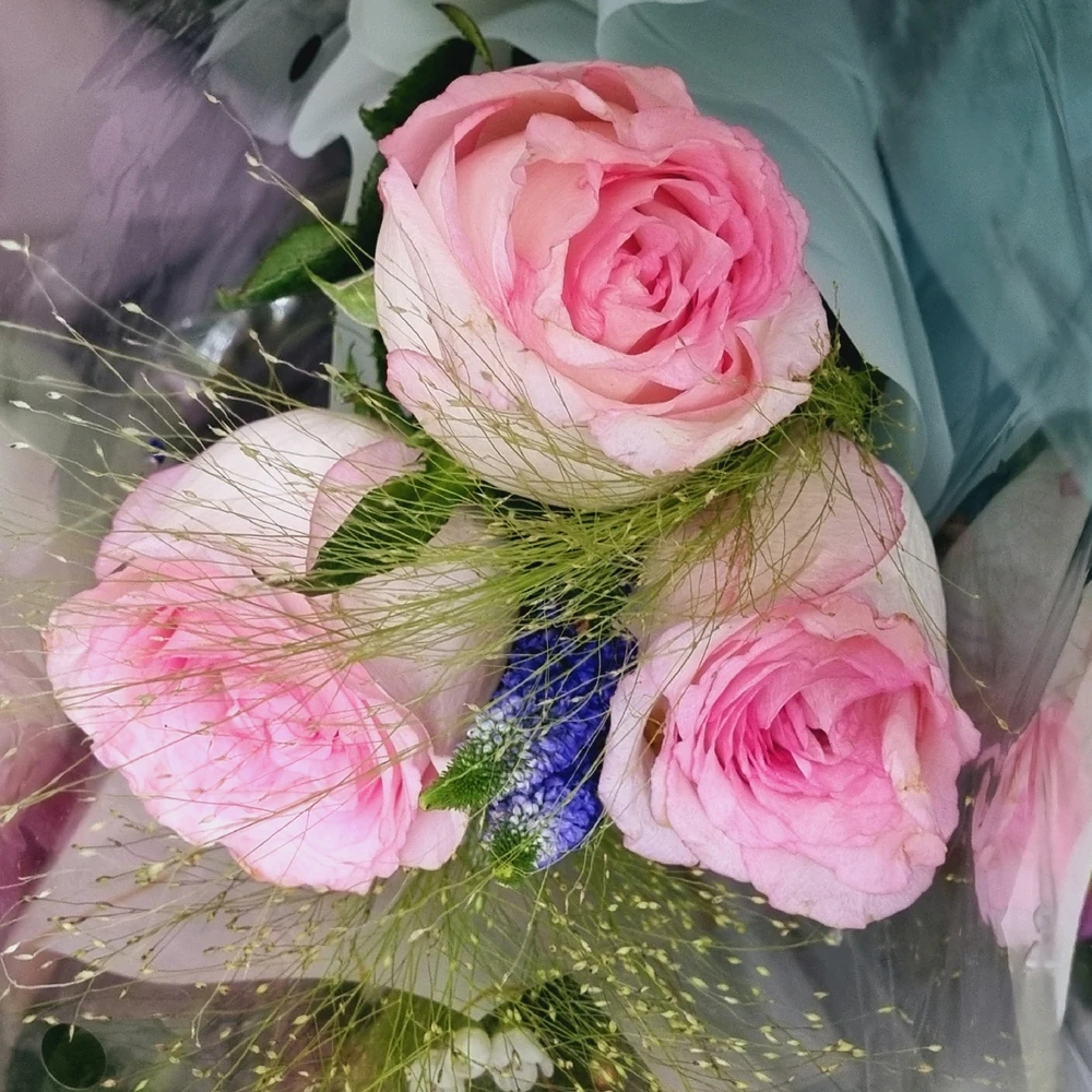 Gambar diunggah dening Chelsy