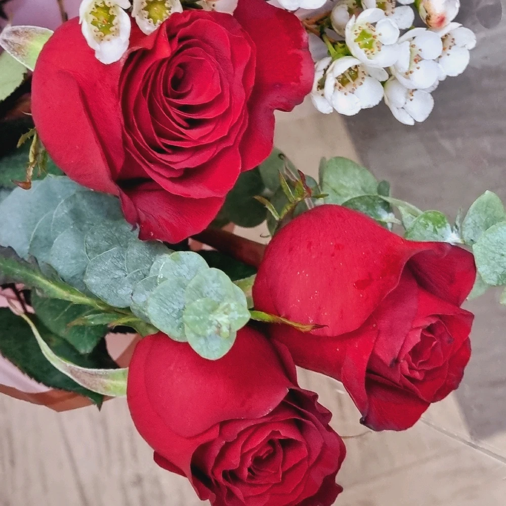 Gambar diunggah dening Chelsy