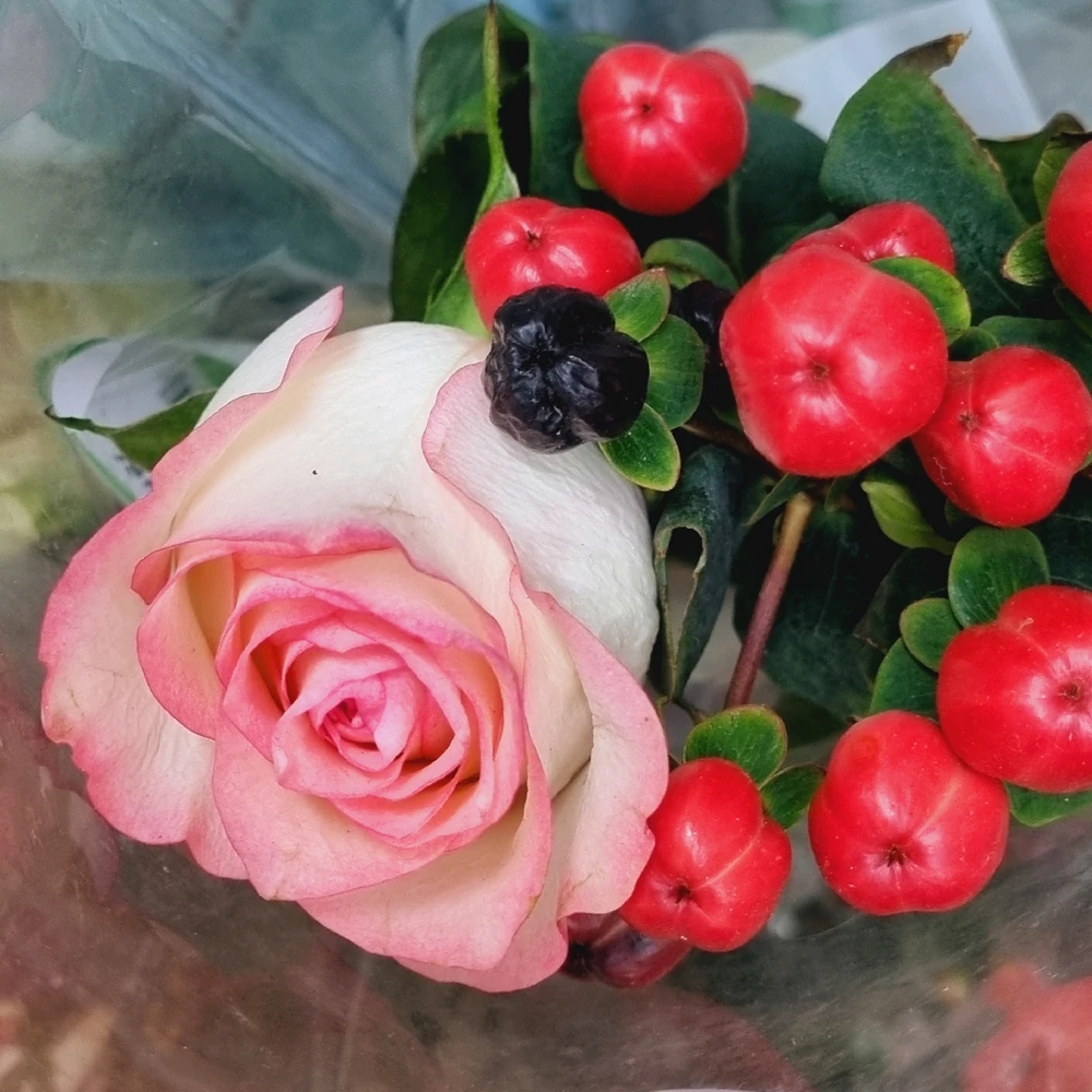 Gambar diunggah dening Chelsy