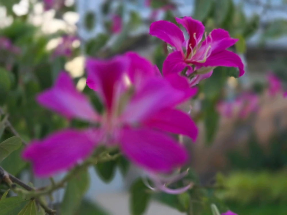 Image uploaded by Lexx