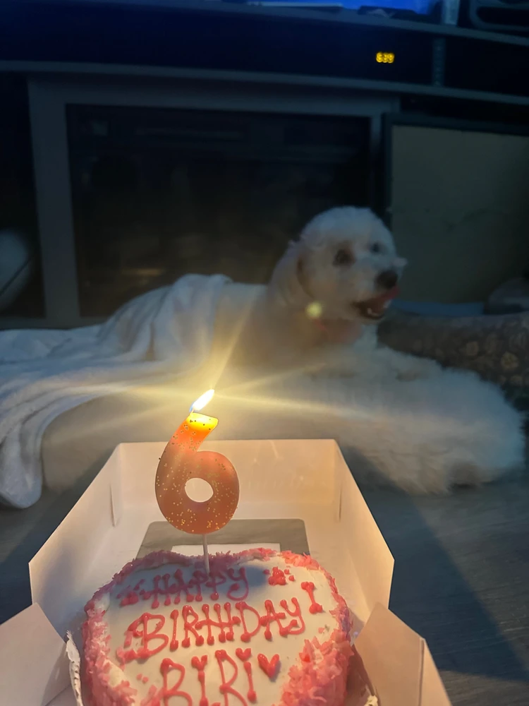 GIF uploaded by Marv