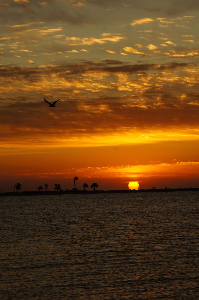 GIF hochgeladen von Simon