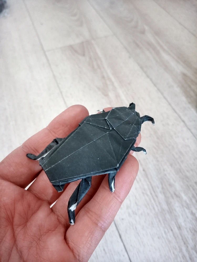 アシェラッドがアップロードしたGIF