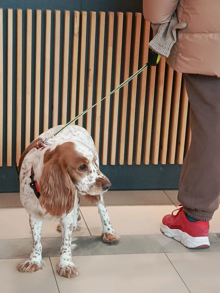 GIF uploaded by Natalie