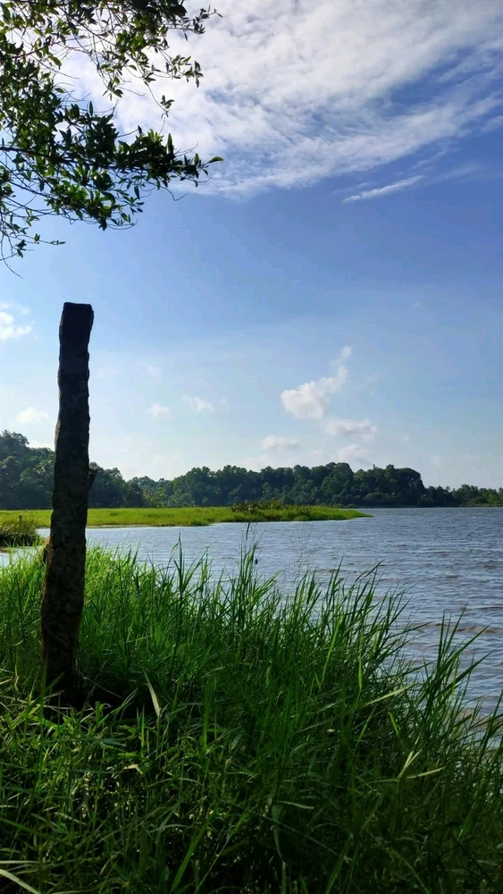 Image uploaded by Sandeep