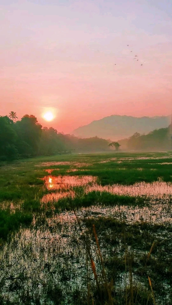 Image uploaded by Sandeep