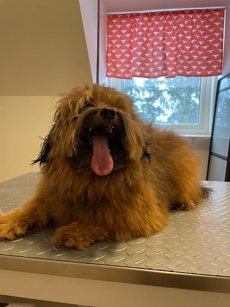 Image uploaded by Jessica