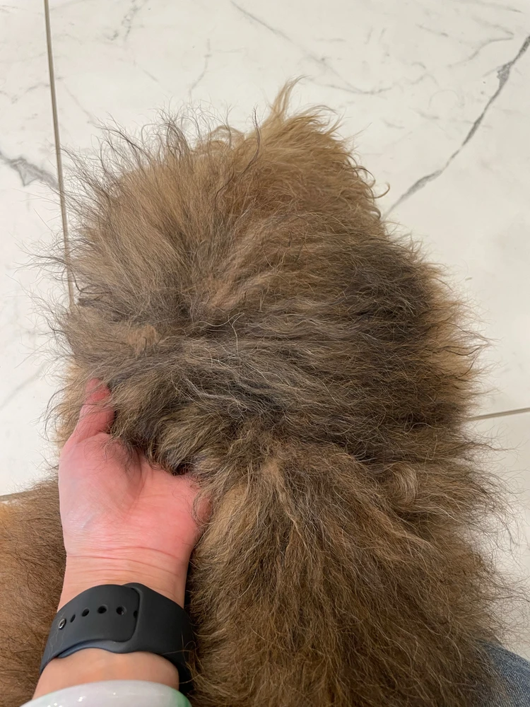 Image uploaded by Jessica