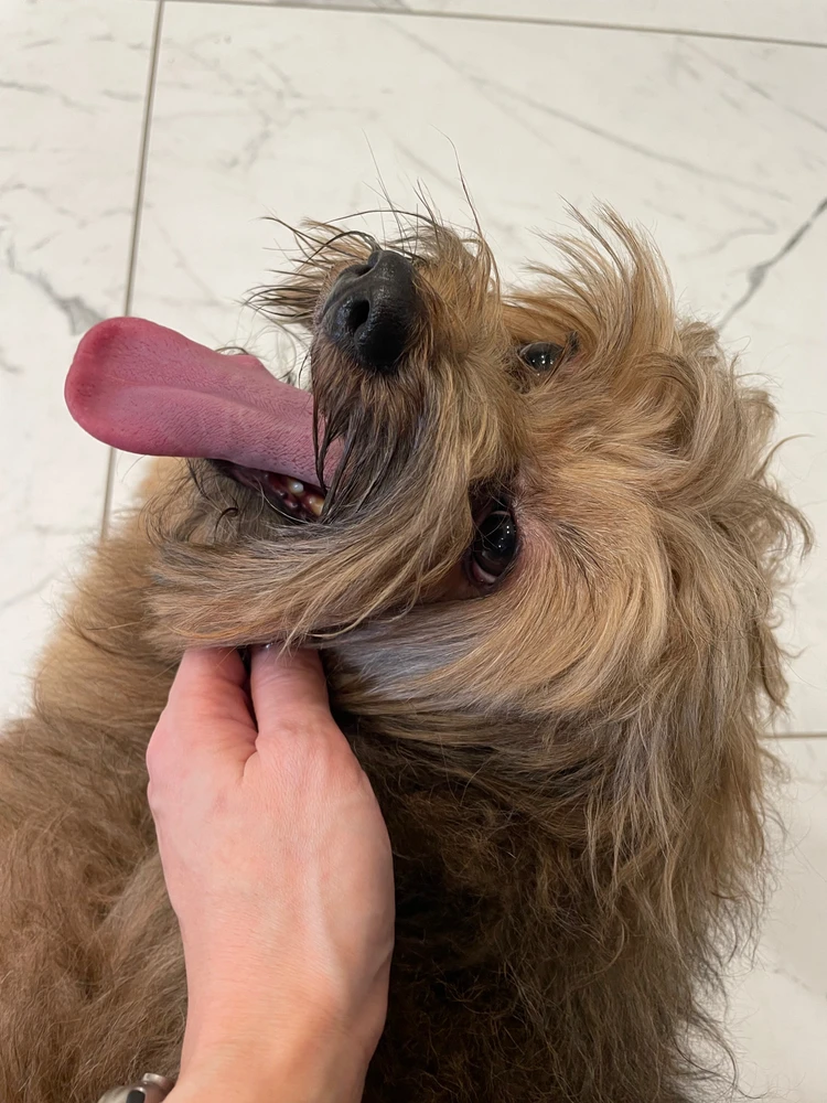 Image uploaded by Jessica