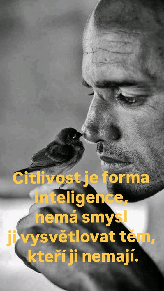 GIF nahrál Tomáš (Chlupčis)